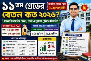 ১১তম গ্রেডের বেতন কত ২০২৬? সরকারি বেতন স্কেল, ভাতা ও সুযোগ-সুবিধার বিস্তারিত
